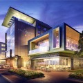 the alexander