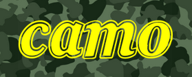 camo print 1_raannt