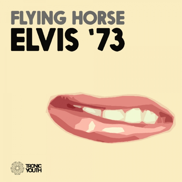 flying horse elvis '73_raannt
