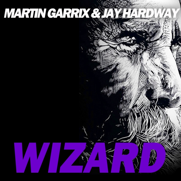 martin garrix jay hardway wizard_raannt