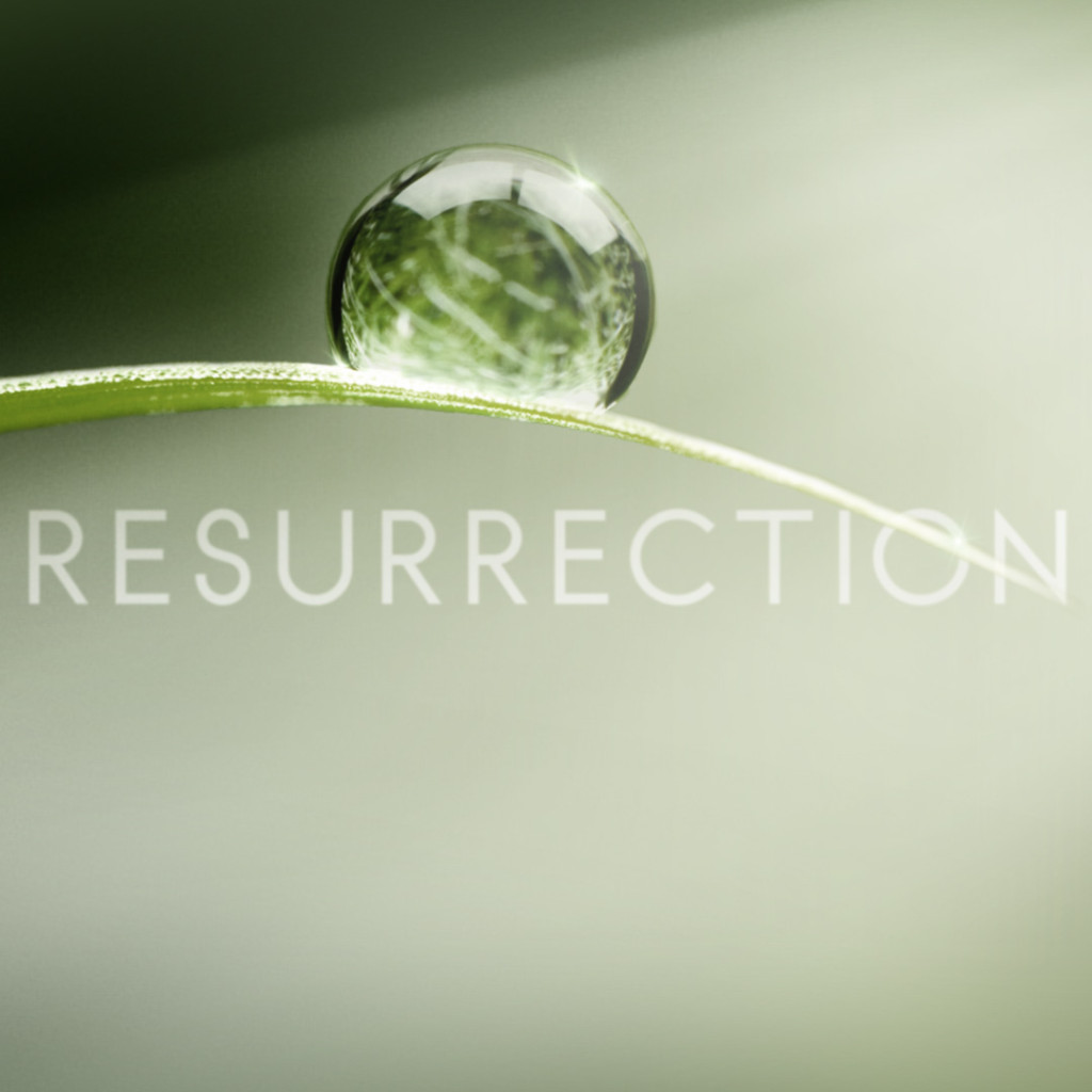 resurrection tv show abc_raannt