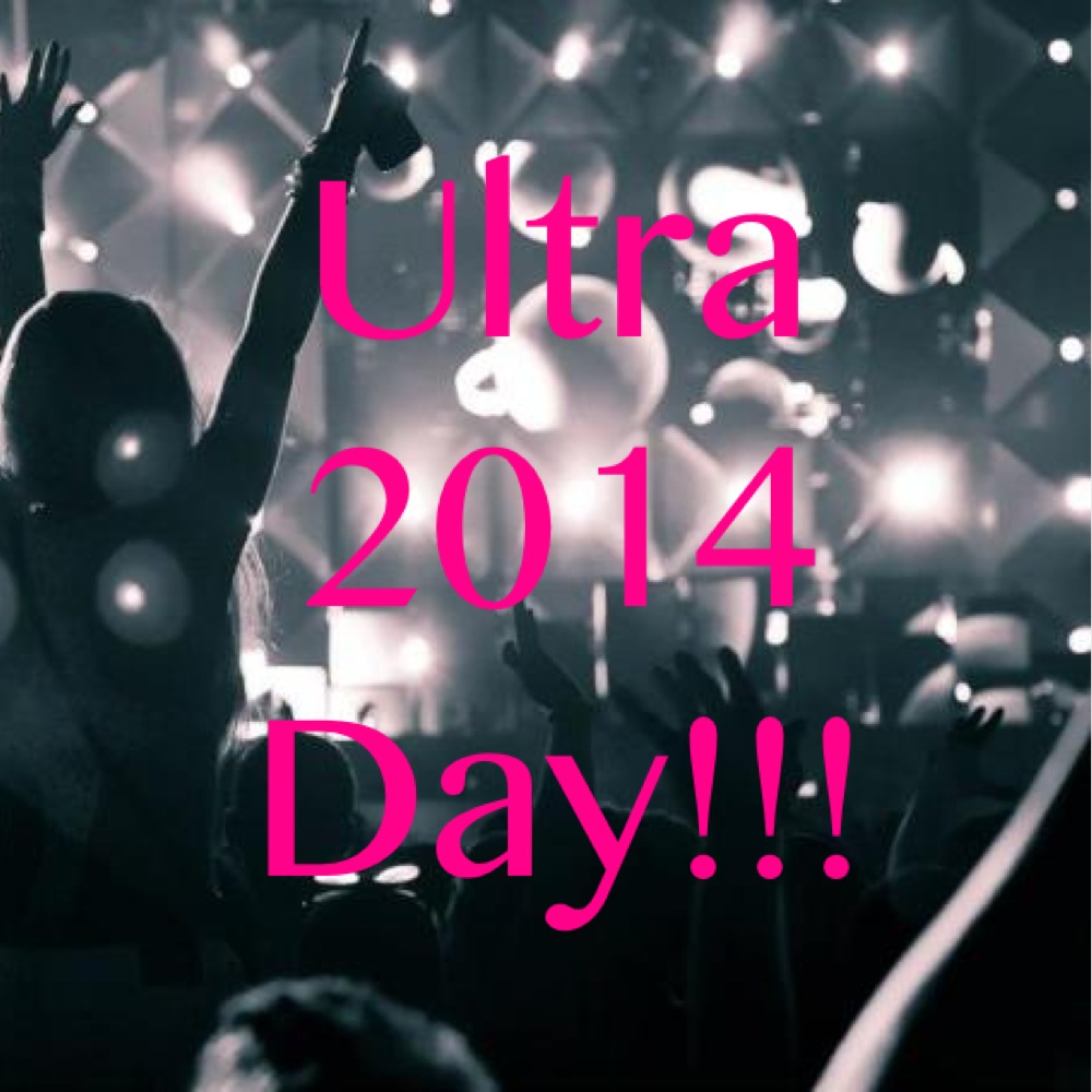 ultra music festival 2014_raannt