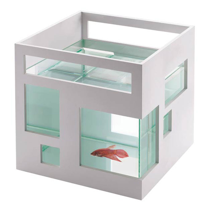 fish hotel cool fish aquarium_raannt