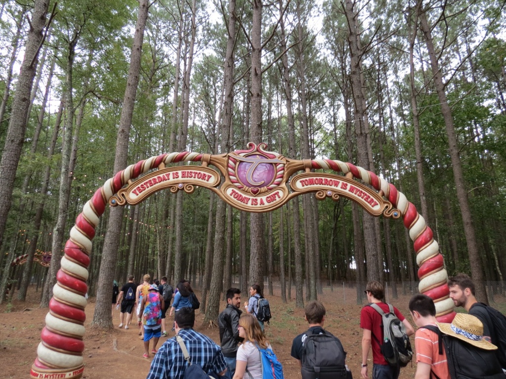 tomorrowworld 7_raannt