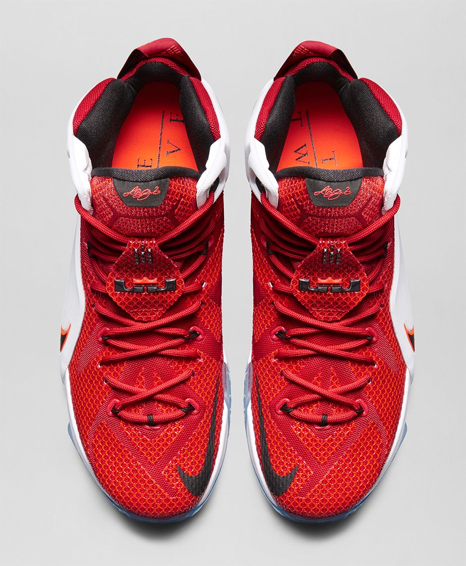 nike lebron 12 hrt of a lion 3_raannt